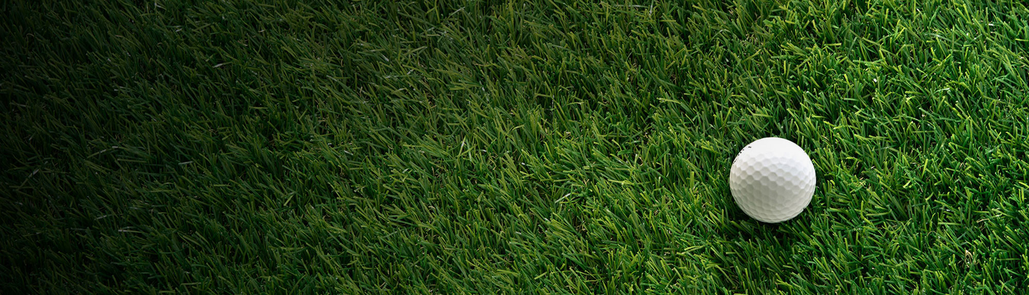 JAPAN - 그린 위의 완벽함, 일본에서 발견하다.